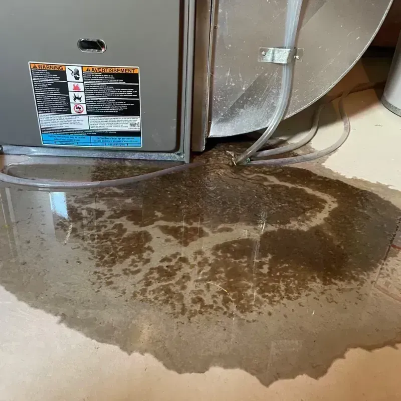 Appliance Leak Cleanup in Limon, CO